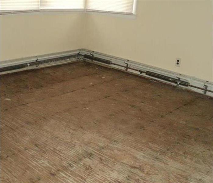 shown subfloor free of mold, caps removed from baseboard heating